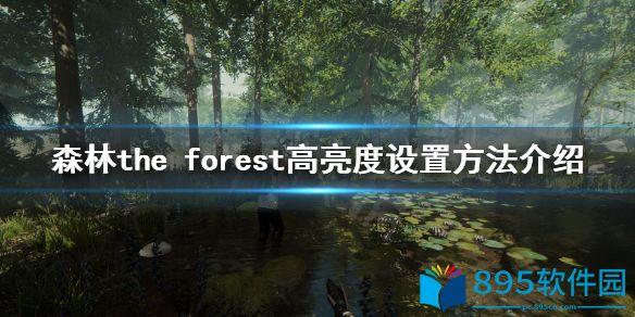 森林游戏亮度怎么提高 高亮度设置方法